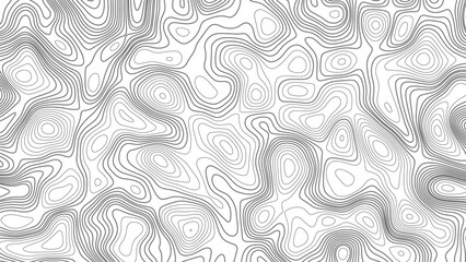 Topographic map. Geographic mountain relief. Abstract white topography vector background. Line topography map design. The concept of conditional geographical pattern and topography.	