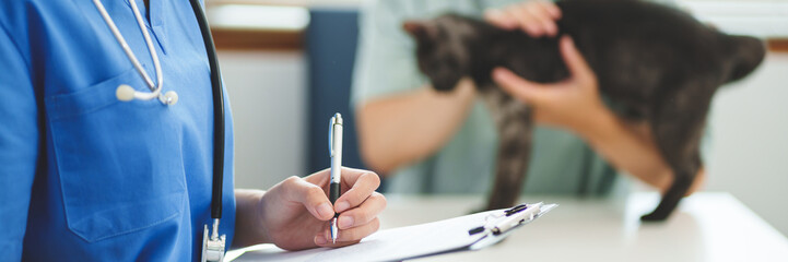 Doctor veterinarian is holding cute cat  at vet clinic.  Pet check up and vaccination. Health care.