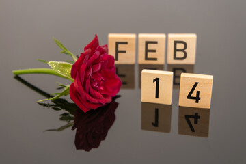 Happy Valentine's day with rose on dark background