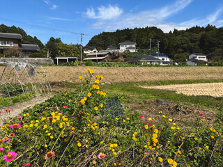 日本の農村の風景