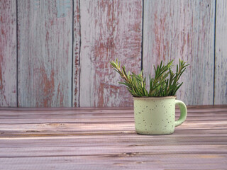 Fresh green rosemary bunch in a small ceramic mug