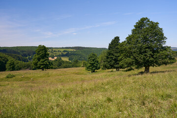 Fototapeta premium Landschaft im Oberen Ulstertal der Hochrhön, Bioshärenreservat Rhön, zwischen Hessischer Rhön und Bayerischer Rhön, Deutschland