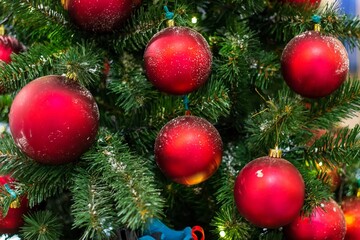 Christmas tree background and Christmas decorations in the mall. Colorful red balls and ribbons on green fir. New Year theme