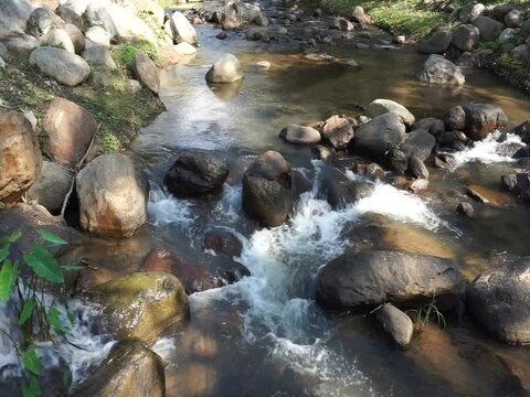 stream in the forest with rock, no people 