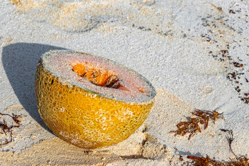 Honeydew melon full of sand on beach in Playa del Carmen Mexico.
