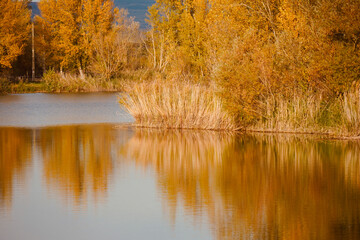 Landscape of trees reflected in the lake, nature background.