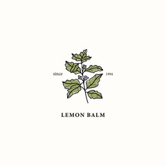 Line art lemon balm branch drawing