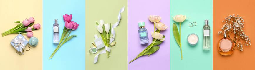 Collage of perfumes with fresh flowers, makeup cosmetics and gift on color background