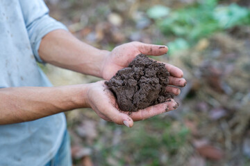 Hand holding soil with nature background.