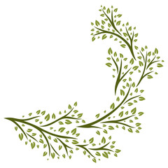 Sprigs with green leaves design element. Decorative plants. © incomible