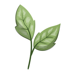 leaf design vector