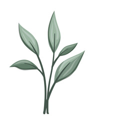 leaf design vector
