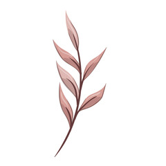 leaf design vector