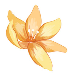 vector flower design flower set