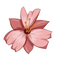 vector flower design flower set