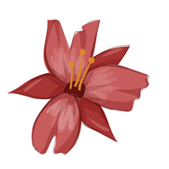 vector flower design flower set