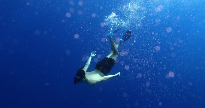 Shirtless Man Wearing Diving Flippers Swimming Underwater With Shark - Oahu, Hawaii