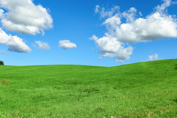 Green grass field and blue sky with clouds, aesthetic nature background. Idyllic grassland, summer...