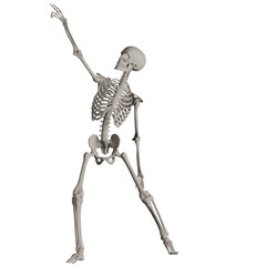 skeleton posing 3d render illustration	