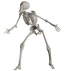 Fototapeta premium skeleton posing 3d render illustration 