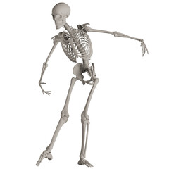 skeleton posing 3d render illustration	