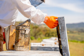 beekeeper opening and checking his bee hives using his beekeeping smoker
