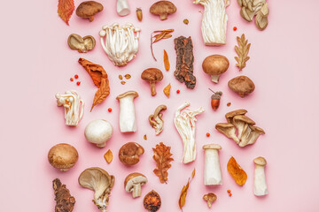 Composition with different mushrooms and forest decor on pink background
