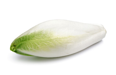 Bunch of fresh endive on white background