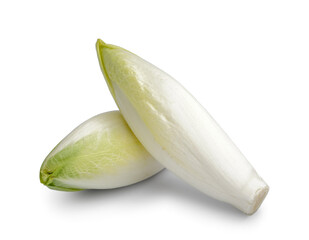 Bunches of fresh endive on white background