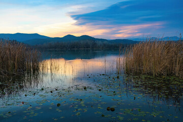 Fototapeta premium At sunset on the Banyoles lake, tranquility reigns where the ducks enjoy it. Catalonia, Spain