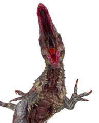 giganotosaurus is a zombie in fighting pose on front close up view © DM7