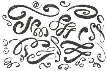 collection of abstract curlicues, isolated strokes on a white background, hand drawn vector illustration sketch