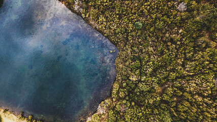 Aerial drone forest top view. Green forest from above.
