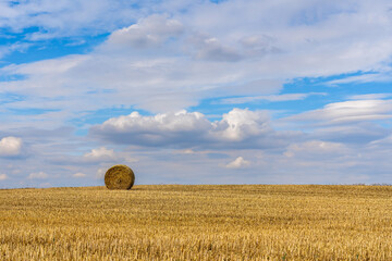 Fototapeta premium A single bale of straw in a stubble field