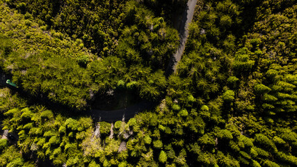 Aerial drone view of a serpent road on a forest top view. Green forest from above.
