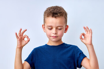 it's OK. calm child boy showing ok gesture, isolated on white studio background. cute caucasian kid...