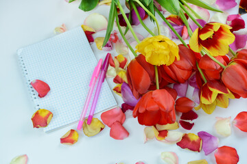 Many multi-colored rose and tulip petals