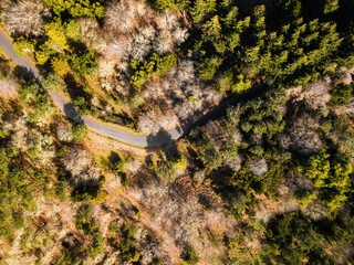 Aerial drone view of a serpent road on a forest top view. Green forest from above.
