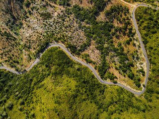 Aerial drone view of a serpent road on a forest top view. Green forest from above.
