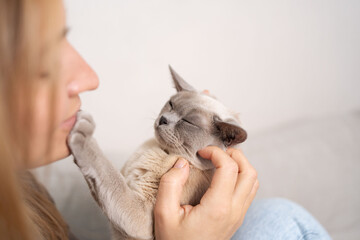 Friendship between human and cat. Pets care. Cat day. Close up of woman lying on a bed and playing with his grey cat.
