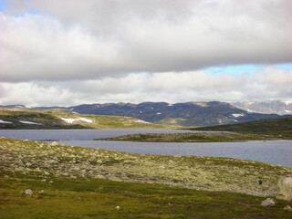 Fototapeta na wymiar Beautiful view of tundra on a summer day. Norway.