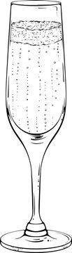 Champagne flute. A glass of sparkling wine in line art style. Vector illustrations in hand drawn sketch style isolated on white. Celebration elements. Alcohol drink for restaurant, cafe, party.
