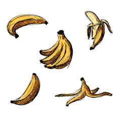 Colored bananas sketch set. Hand drawn illustration. Bunch of bananas, open banana, banana peel.