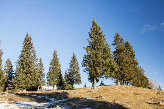Velika planina mountain 1666 m in Kamnik Savinja Alps in Slovenia, winter hiking in herdsmen&rsquo;s huts village covered with snow