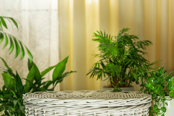 Part of home interior with empty podium on beige background with green leaves. Natural product...