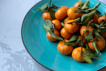 Fototapeta na wymiar Fresh mandarin orange fruits or tangerines with leaves on a gray background or table in a big green plate, copy space