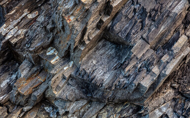 Costa jurásica, Ribadesellla, Ictitas de dinosaurio, estratos © Valentin