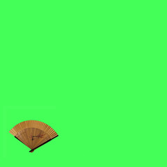 Little elegant wooden fan with fine patterns on  kiwi green background.. Flat lay concept.