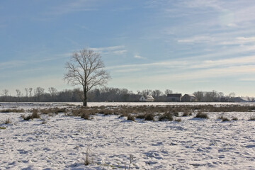 Fototapeta na wymiar Flemish marsh landscape covered in snow under a blue sky. Bourgoyen, Gehnt, Belgium