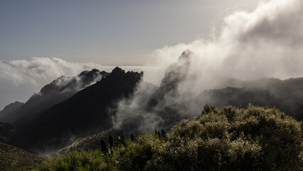 Nebelstimmung auf Teneriffa 